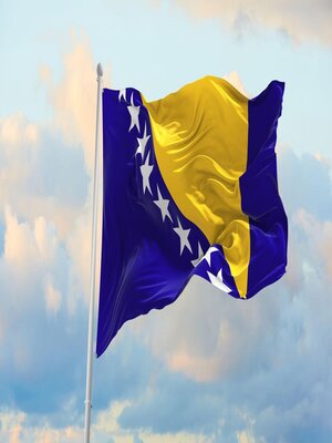 cover image of A short guide to learning Bosnian Language